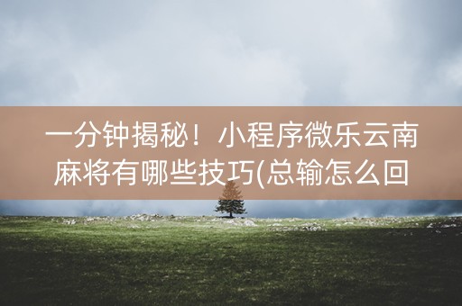 一分钟揭秘！小程序微乐云南麻将有哪些技巧(总输怎么回事)