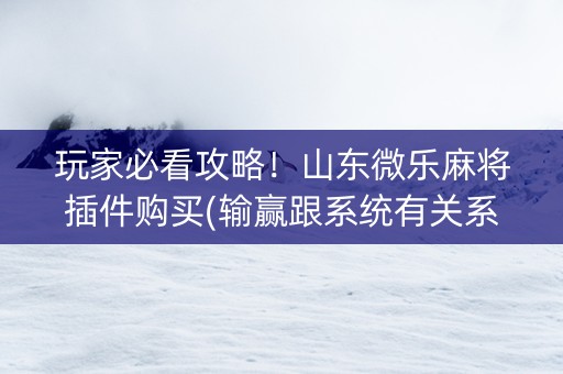 玩家必看攻略！山东微乐麻将插件购买(输赢跟系统有关系吗)