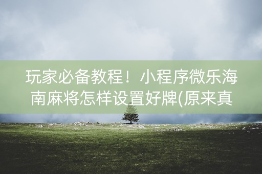 玩家必备教程！小程序微乐海南麻将怎样设置好牌(原来真的有挂)