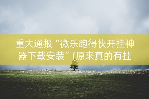 重大通报“微乐跑得快开挂神器下载安装”(原来真的有挂)-知乎