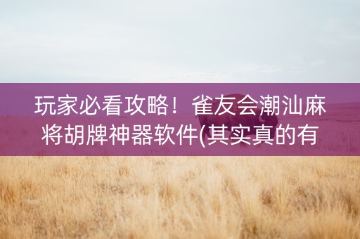 玩家必看攻略！雀友会潮汕麻将胡牌神器软件(其实真的有挂)