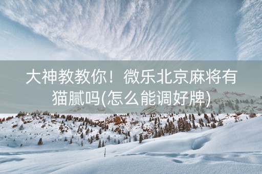 大神教教你！微乐北京麻将有猫腻吗(怎么能调好牌)