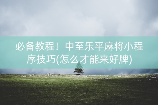 必备教程！中至乐平麻将小程序技巧(怎么才能来好牌)