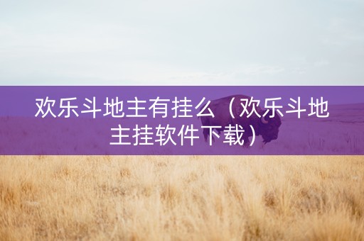 欢乐斗地主有挂么（欢乐斗地主挂软件下载）
