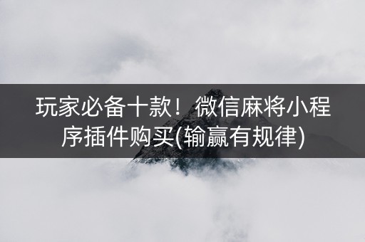 玩家必备十款！微信麻将小程序插件购买(输赢有规律)