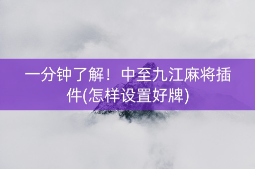 一分钟了解！中至九江麻将插件(怎样设置好牌)