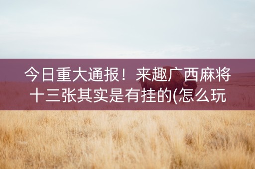 今日重大通报！来趣广西麻将十三张其实是有挂的(怎么玩才能赢)