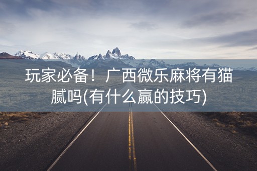玩家必备！广西微乐麻将有猫腻吗(有什么赢的技巧)