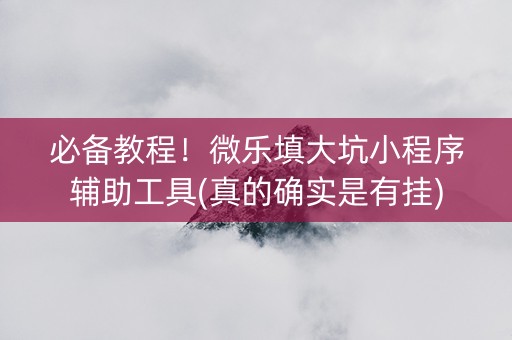 必备教程！微乐填大坑小程序辅助工具(真的确实是有挂)