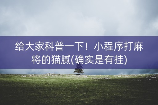给大家科普一下！小程序打麻将的猫腻(确实是有挂)