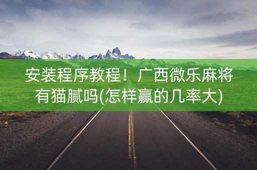 安装程序教程！广西微乐麻将有猫腻吗(怎样赢的几率大)
