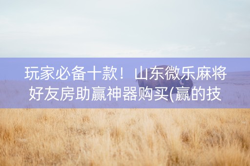 玩家必备十款！山东微乐麻将好友房助赢神器购买(赢的技巧提高胜率)