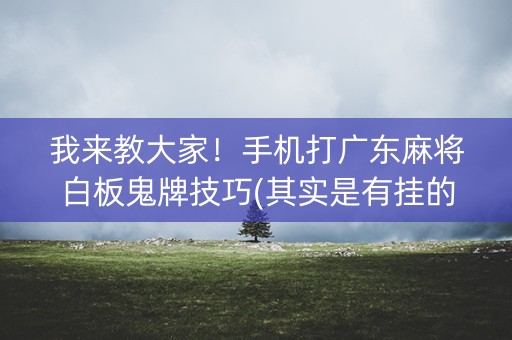 我来教大家！手机打广东麻将白板鬼牌技巧(其实是有挂的)
