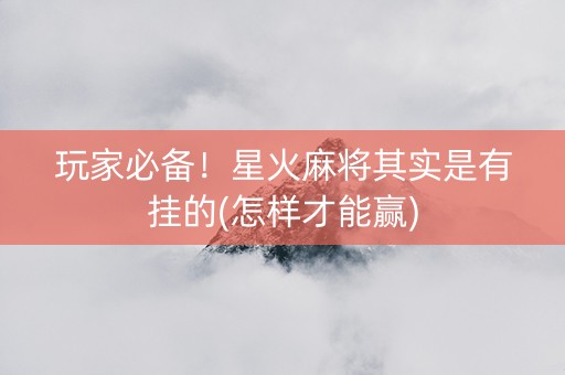 玩家必备！星火麻将其实是有挂的(怎样才能赢)