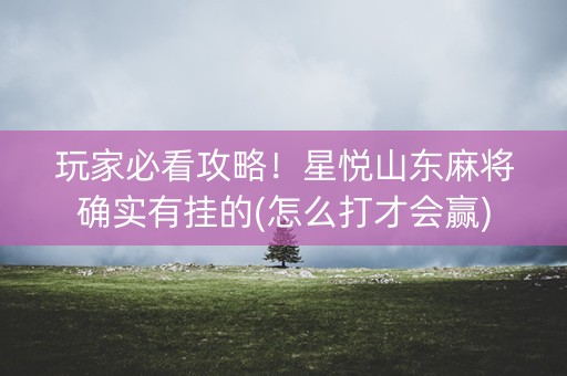 玩家必看攻略！星悦山东麻将确实有挂的(怎么打才会赢)