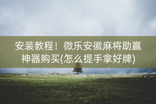 安装教程！微乐安徽麻将助赢神器购买(怎么提手拿好牌)