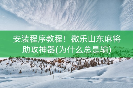 安装程序教程！微乐山东麻将助攻神器(为什么总是输)