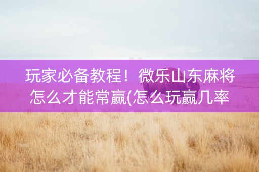 玩家必备教程！微乐山东麻将怎么才能常赢(怎么玩赢几率大)
