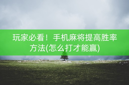 玩家必看！手机麻将提高胜率方法(怎么打才能赢)