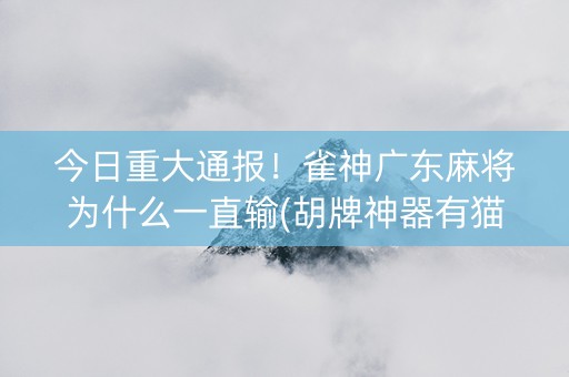 今日重大通报！雀神广东麻将为什么一直输(胡牌神器有猫腻吗)