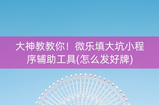 大神教教你！微乐填大坑小程序辅助工具(怎么发好牌)