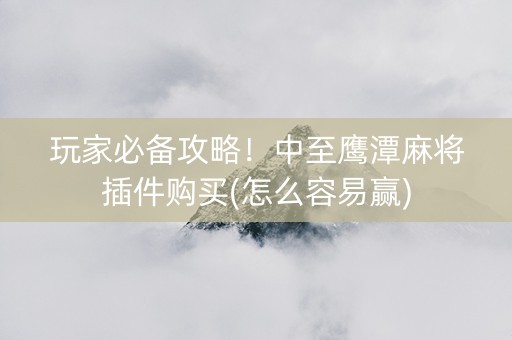 玩家必备攻略！中至鹰潭麻将插件购买(怎么容易赢)