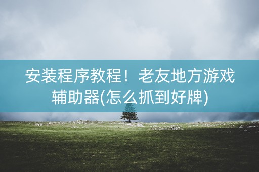 安装程序教程！老友地方游戏辅助器(怎么抓到好牌)