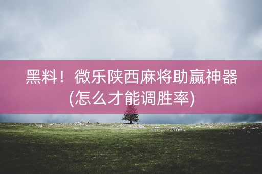 黑料！微乐陕西麻将助赢神器(怎么才能调胜率)