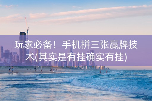 玩家必备！手机拼三张赢牌技术(其实是有挂确实有挂)
