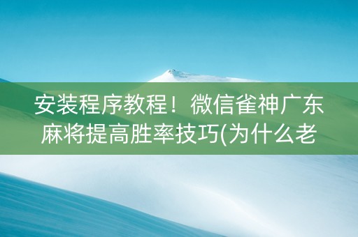 安装程序教程！微信雀神广东麻将提高胜率技巧(为什么老输)