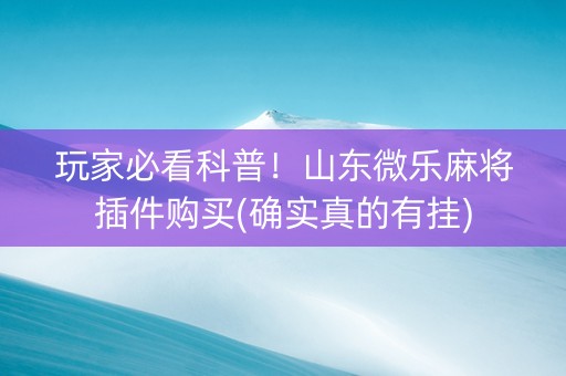 玩家必看科普！山东微乐麻将插件购买(确实真的有挂)