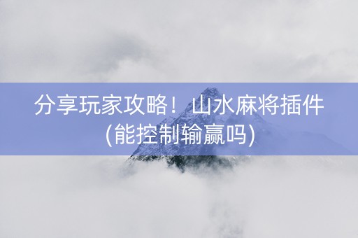分享玩家攻略！山水麻将插件(能控制输赢吗)