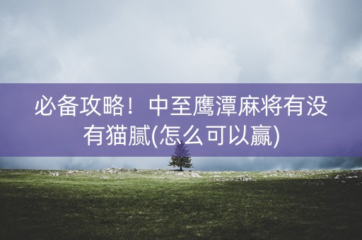 必备攻略！中至鹰潭麻将有没有猫腻(怎么可以赢)
