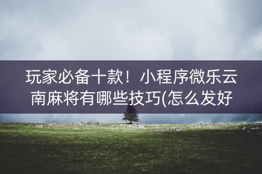 玩家必备十款！小程序微乐云南麻将有哪些技巧(怎么发好牌)