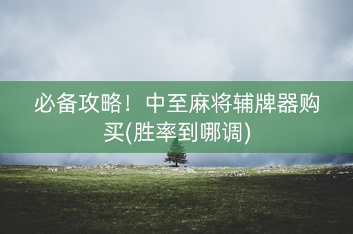 必备攻略！中至麻将辅牌器购买(胜率到哪调)