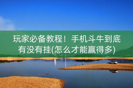 玩家必备教程！手机斗牛到底有没有挂(怎么才能赢得多)