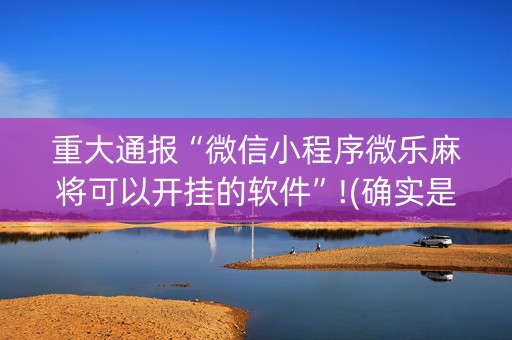 重大通报“微信小程序微乐麻将可以开挂的软件”!(确实是有挂)-知乎