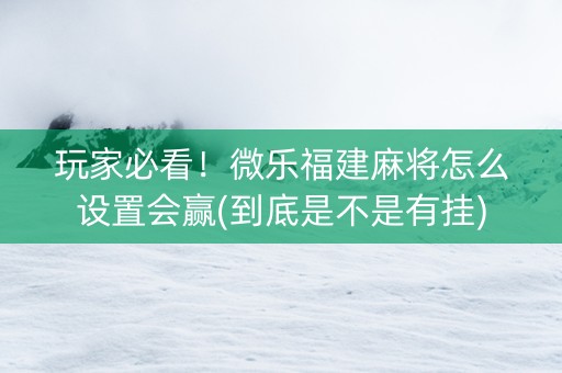 玩家必看！微乐福建麻将怎么设置会赢(到底是不是有挂)