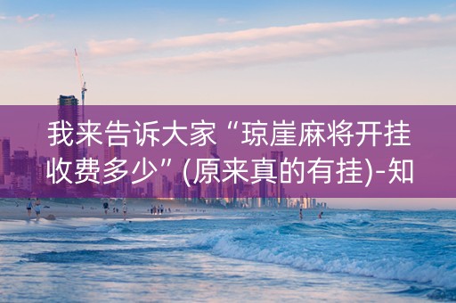 我来告诉大家“琼崖麻将开挂收费多少”(原来真的有挂)-知乎