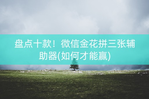 盘点十款！微信金花拼三张辅助器(如何才能赢)