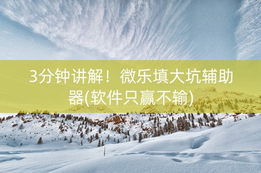 3分钟讲解！微乐填大坑辅助器(软件只赢不输)