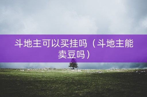 斗地主可以买挂吗（斗地主能卖豆吗）