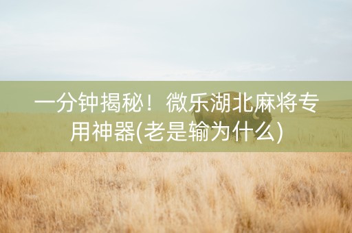 一分钟揭秘！微乐湖北麻将专用神器(老是输为什么)