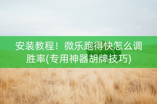 安装教程！微乐跑得快怎么调胜率(专用神器胡牌技巧)