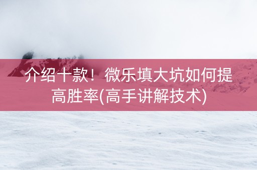 介绍十款！微乐填大坑如何提高胜率(高手讲解技术)
