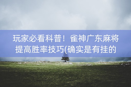 玩家必看科普！雀神广东麻将提高胜率技巧(确实是有挂的)