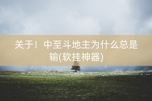 关于！中至斗地主为什么总是输(软挂神器)