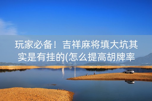 玩家必备！吉祥麻将填大坑其实是有挂的(怎么提高胡牌率)
