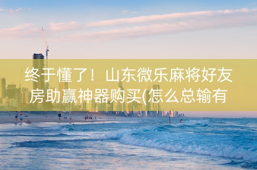 终于懂了！山东微乐麻将好友房助赢神器购买(怎么总输有什么猫腻)