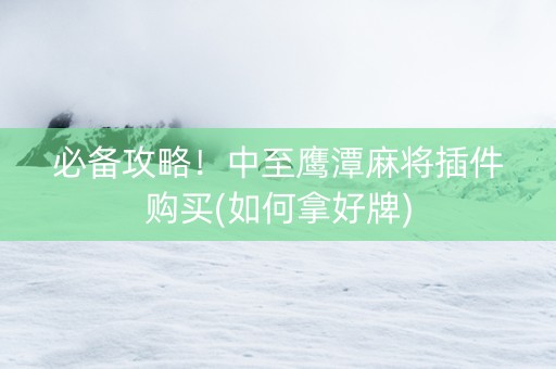 必备攻略！中至鹰潭麻将插件购买(如何拿好牌)
